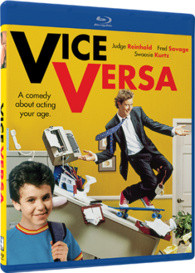 Viceversa (1988) HDRip 1080p AC3 ITA ENG - DDN