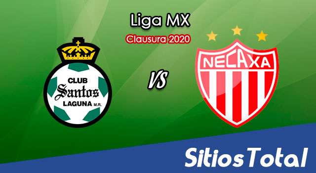 Ver Santos vs Necaxa en Vivo – Clausura 2020 de la Liga MX