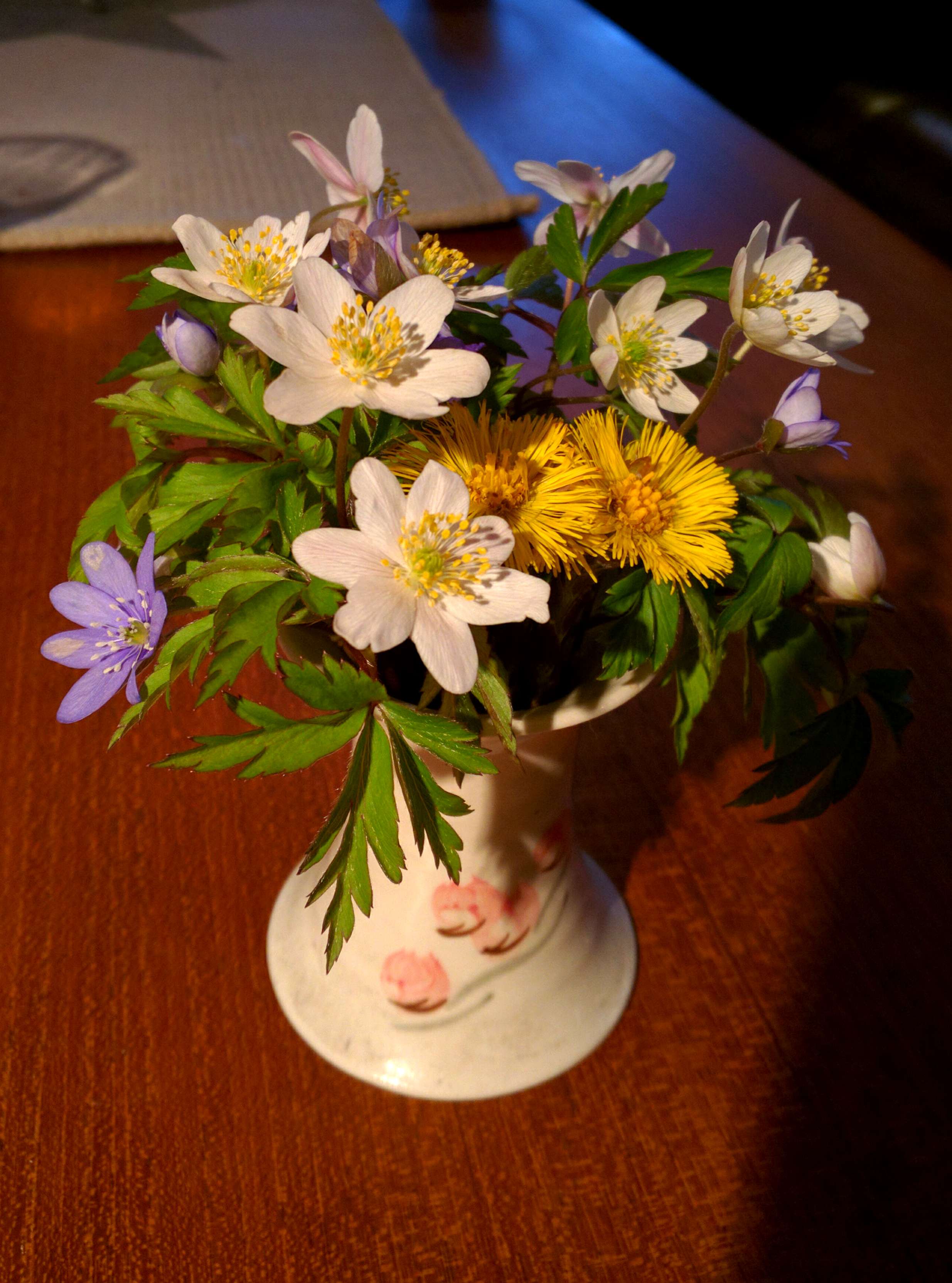Spring bouquet consisting of hestehov, blåveis, and hvitveis
