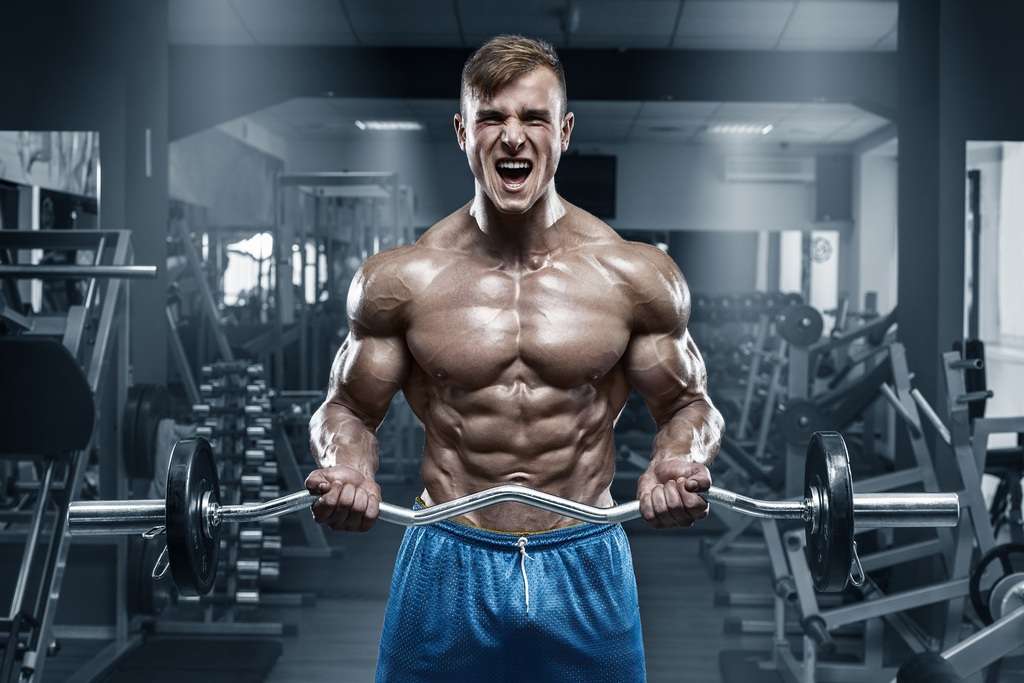 What Is Bbl Bodybuilding