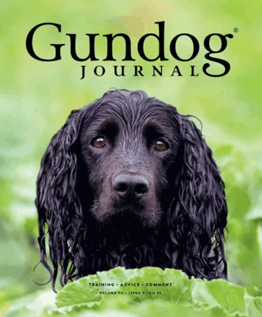 Gundog Journal