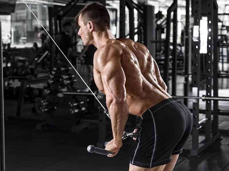 What Part Of The Tricep Do Rope Pushdowns Work
