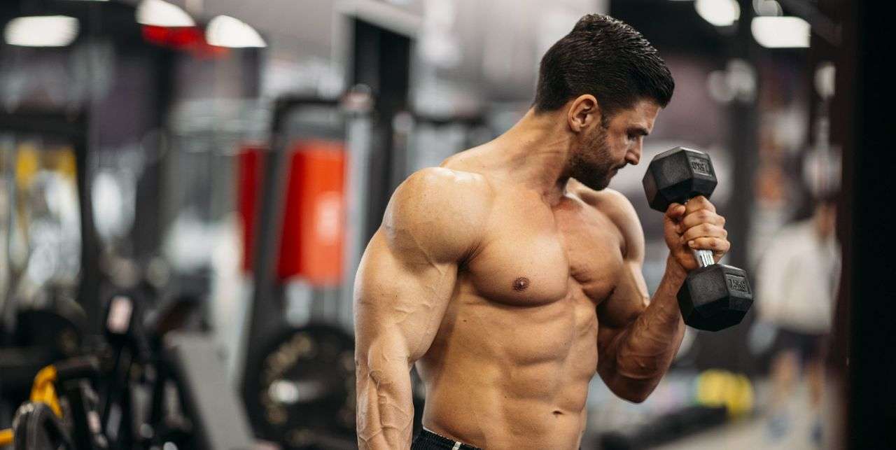 Do Triceps Make Arms Bigger
