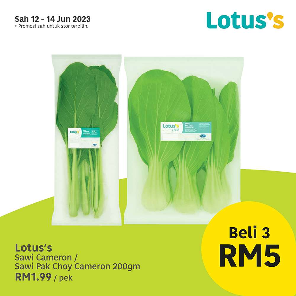 Lotus/Tesco Catalogue(12 June 2023)