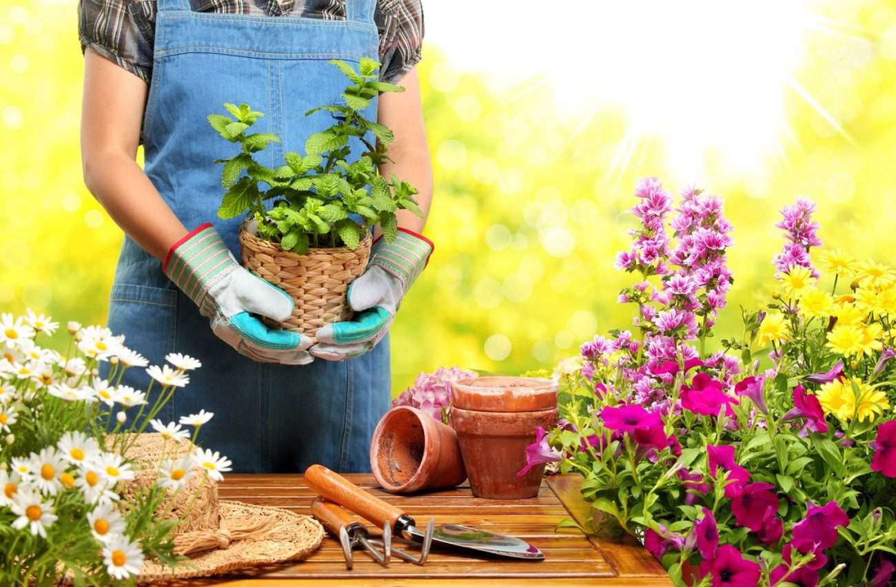 Is Gardening Good For Your Health