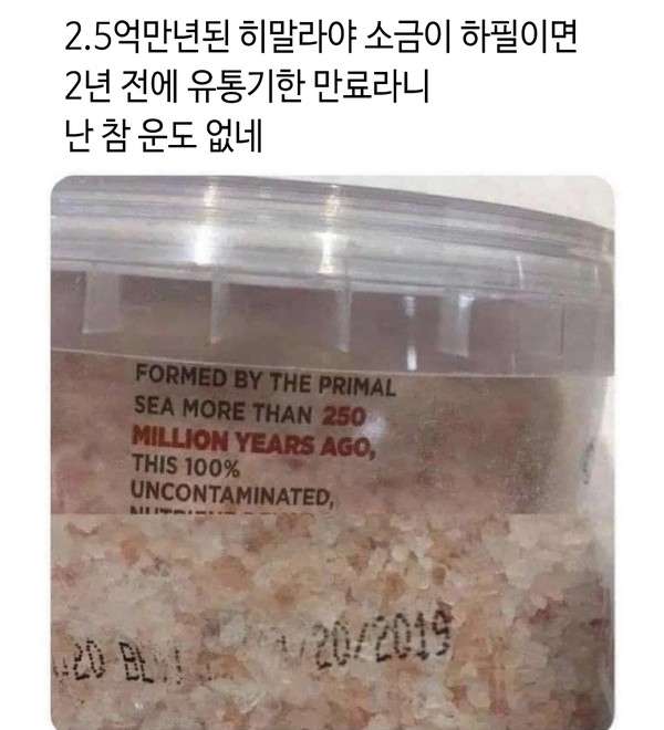 2.5억만년 된 히말라야 소금의 유통기한