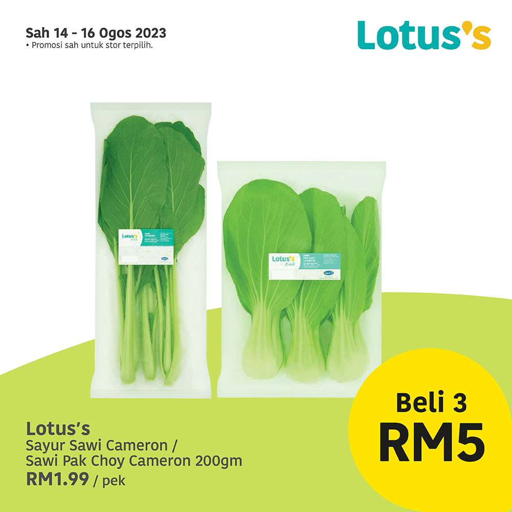 Lotus/Tesco Catalogue(14 August 2023)