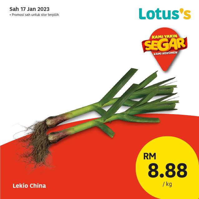 Lotus/Tesco Catalogue(17 January 2023)