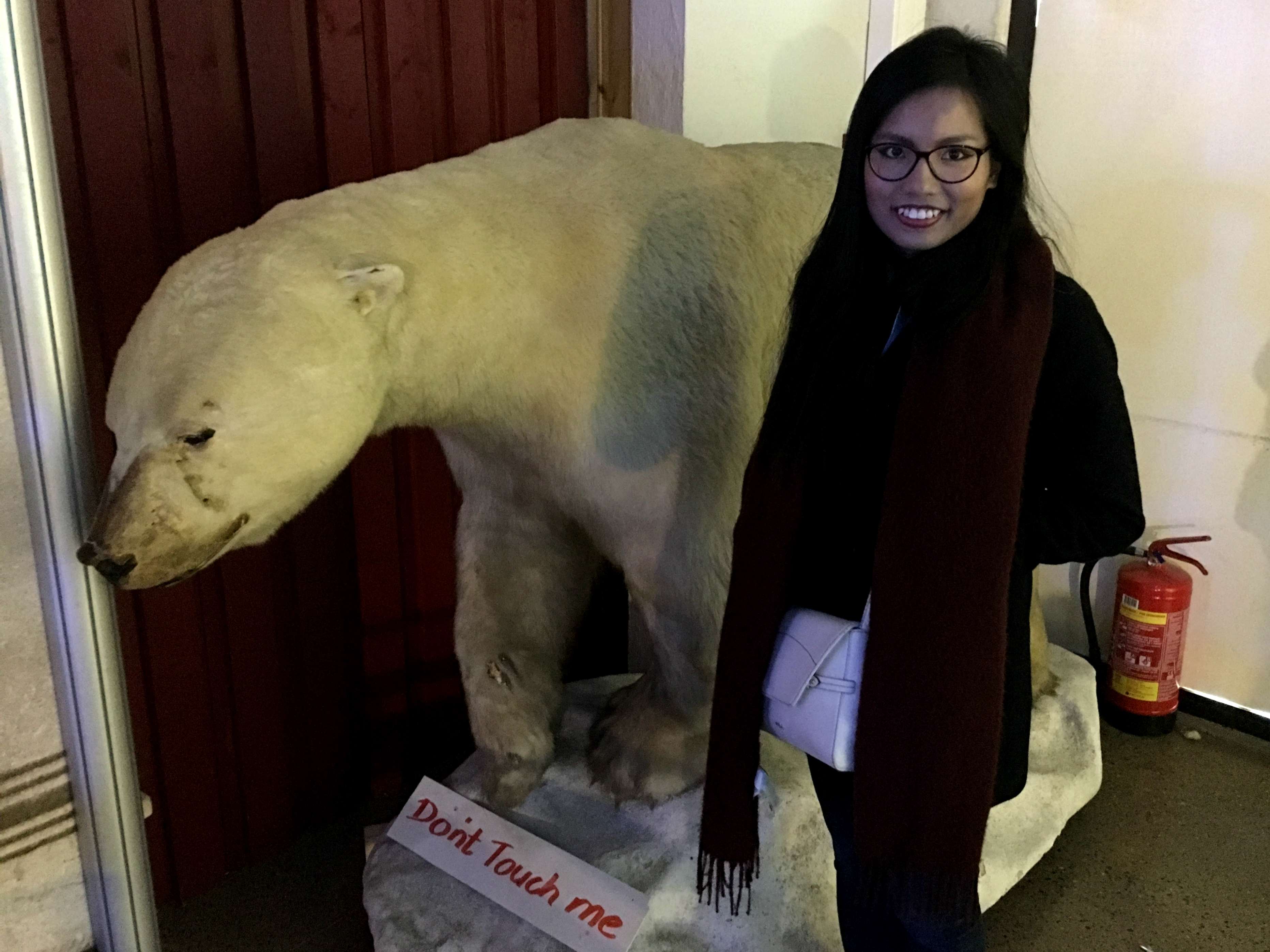 Polar bear at Frammuseet