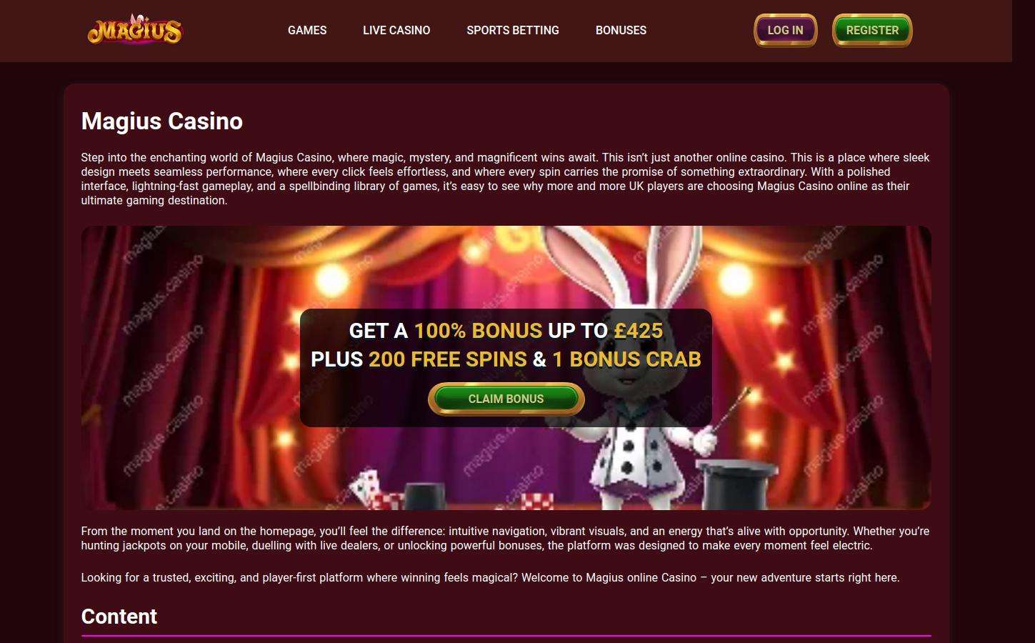 Πολιτική όρων και προϋποθέσεων στο Magius Casino