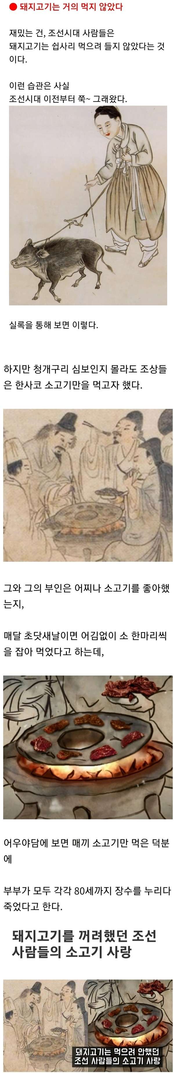 조선시대 때 돼지고기는 거의 먹지 않았다
