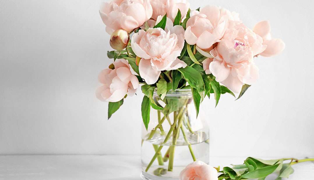 How To Clean Glass Vases