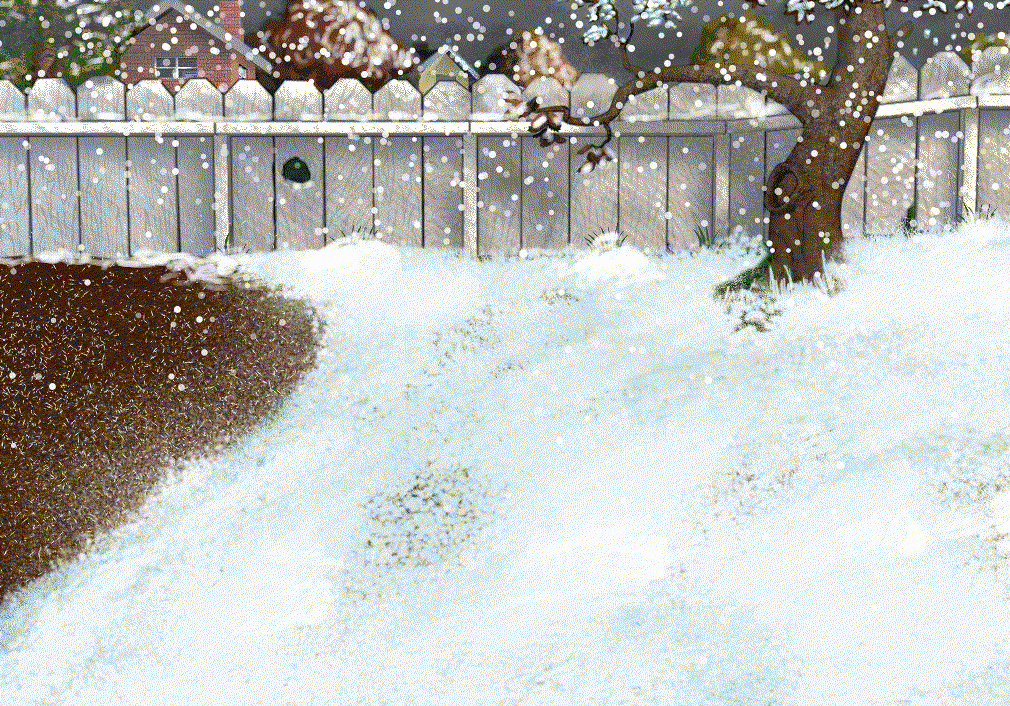 snowy back yard