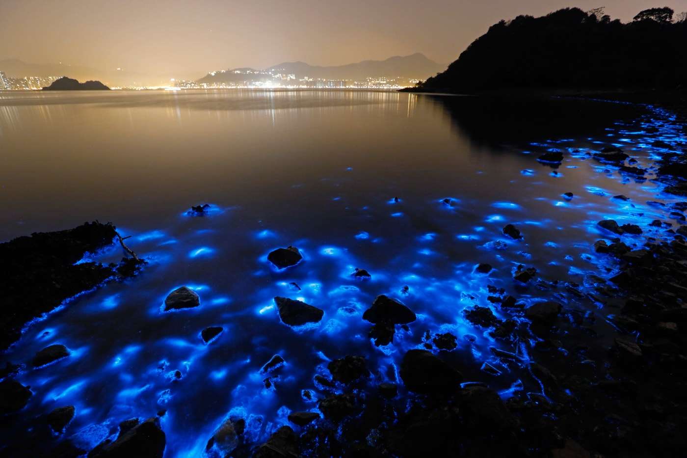 It's Where To See Bioluminescence