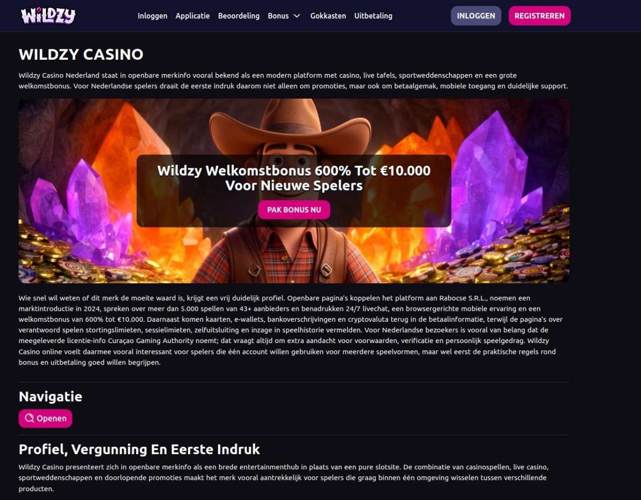 Wildzy Casino No Deposit Bonus Options For Players In The Netherlands  