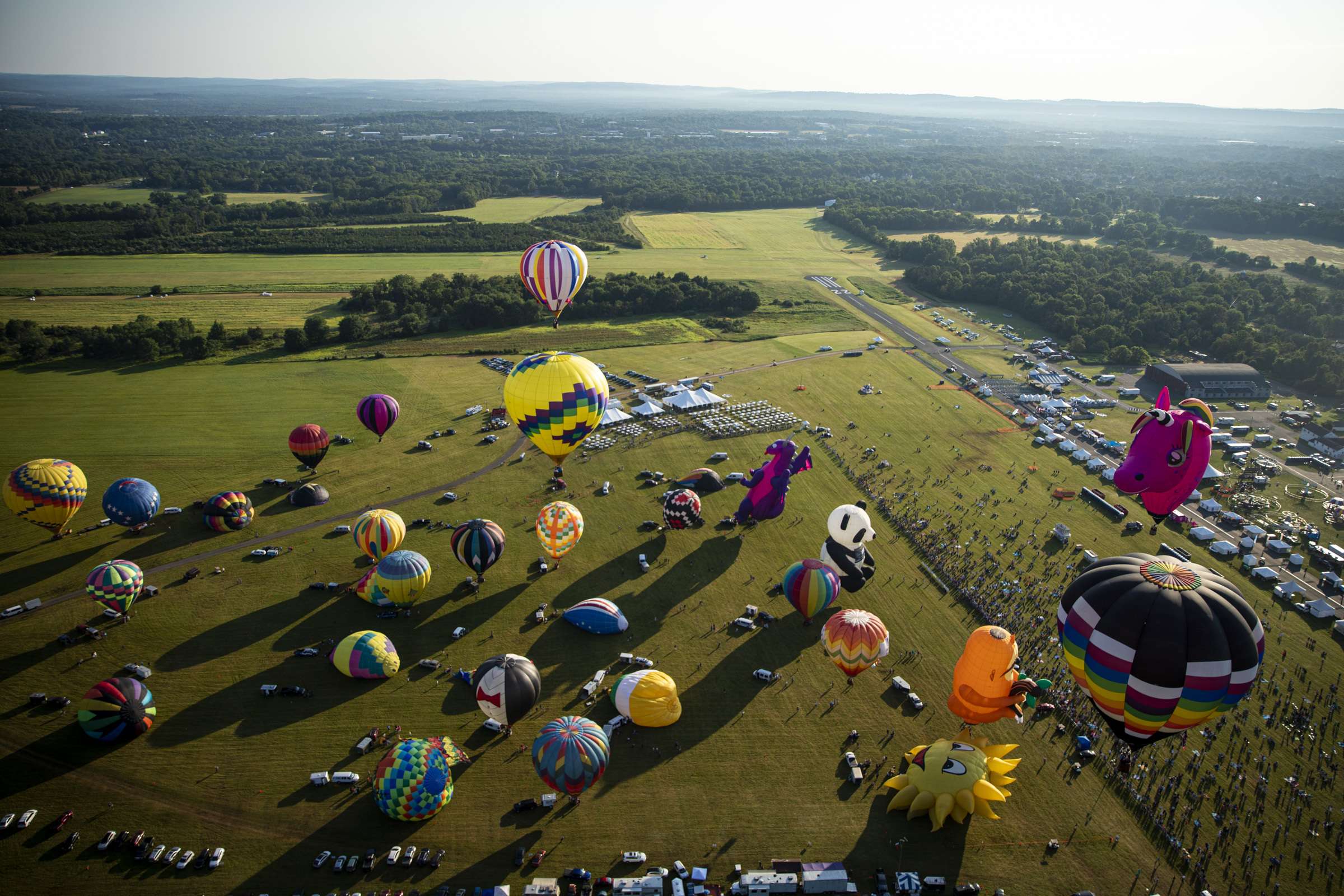 Nj Balloon Festival 2022
