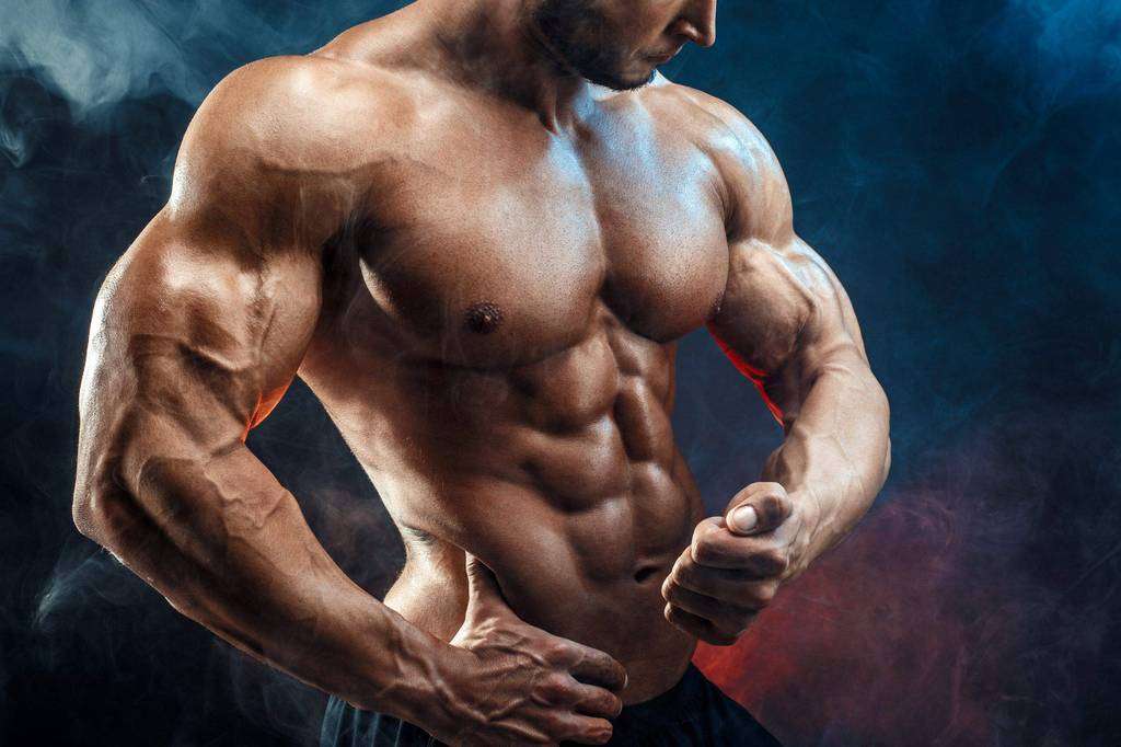 What Does Equipoise Do Bodybuilding