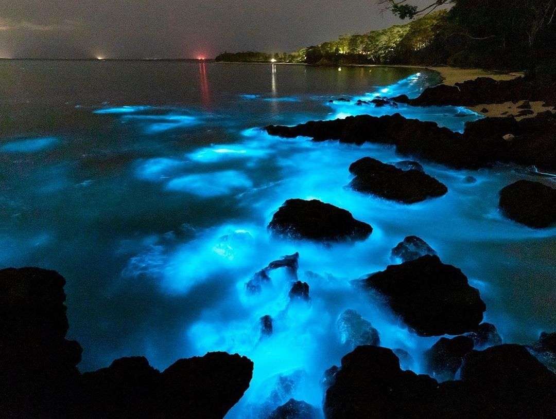 How Many Bioluminescent Bays Are There In The World Best