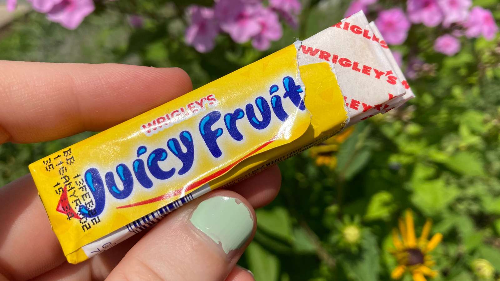 What Flavor Is Juicy Fruit Gum