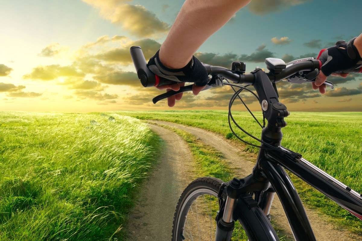 Is Walking Or Biking Better Exercise