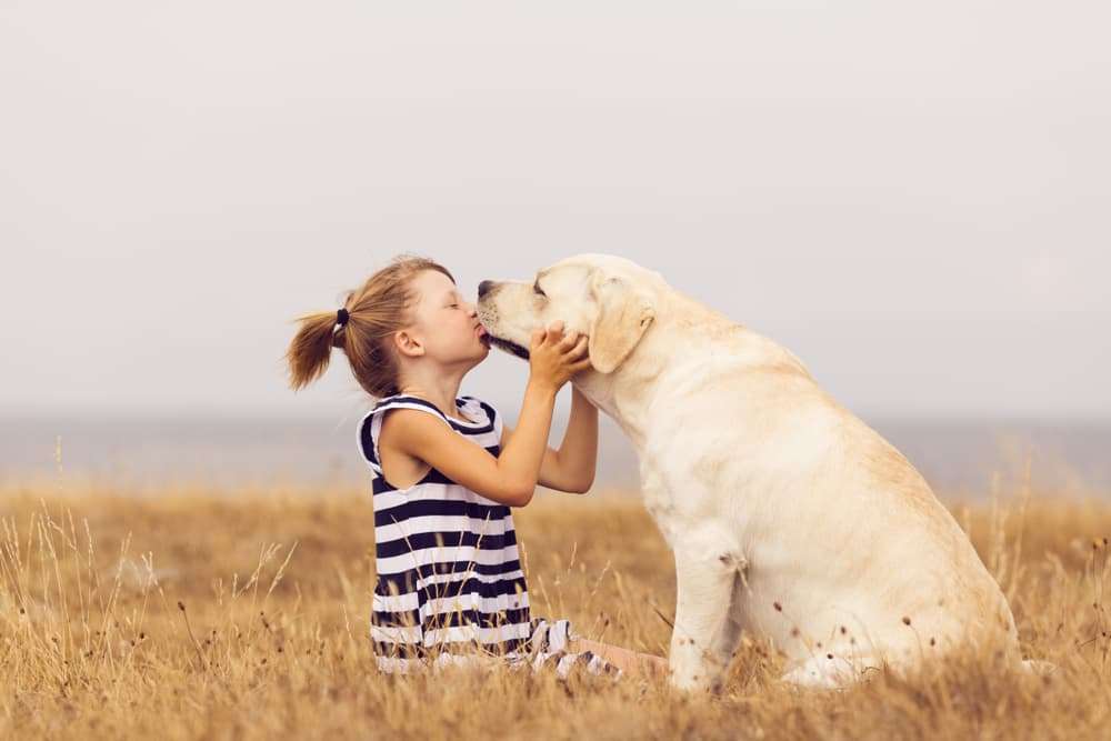 Are Labradors Good With Kids