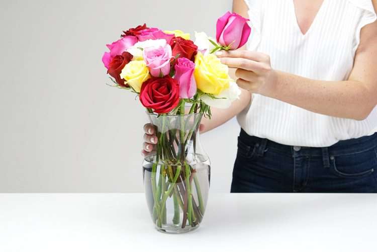 How To Maintain Roses In A Vase
