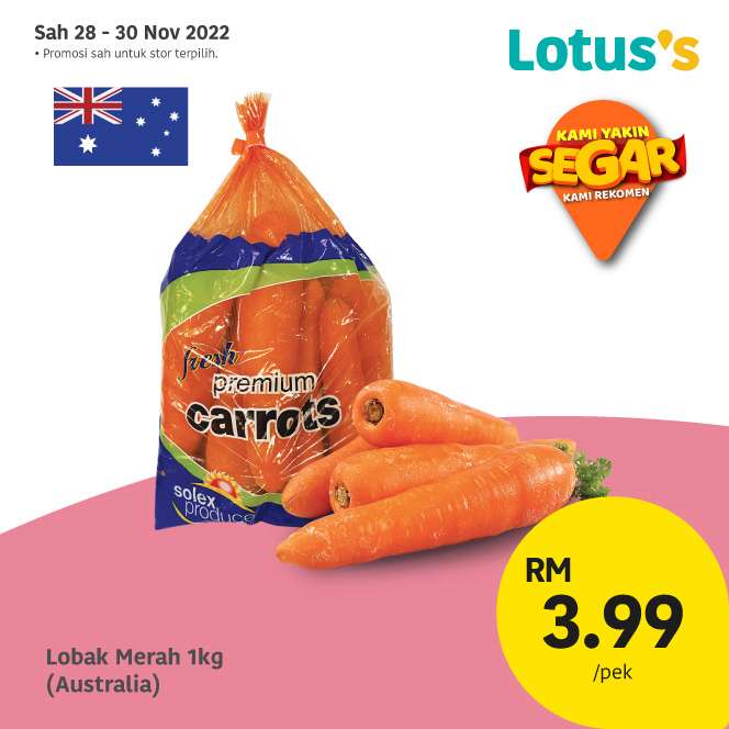 Lotus/Tesco Catalogue(28 November 2022)