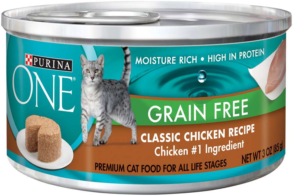 Why Grain Free Cat Food