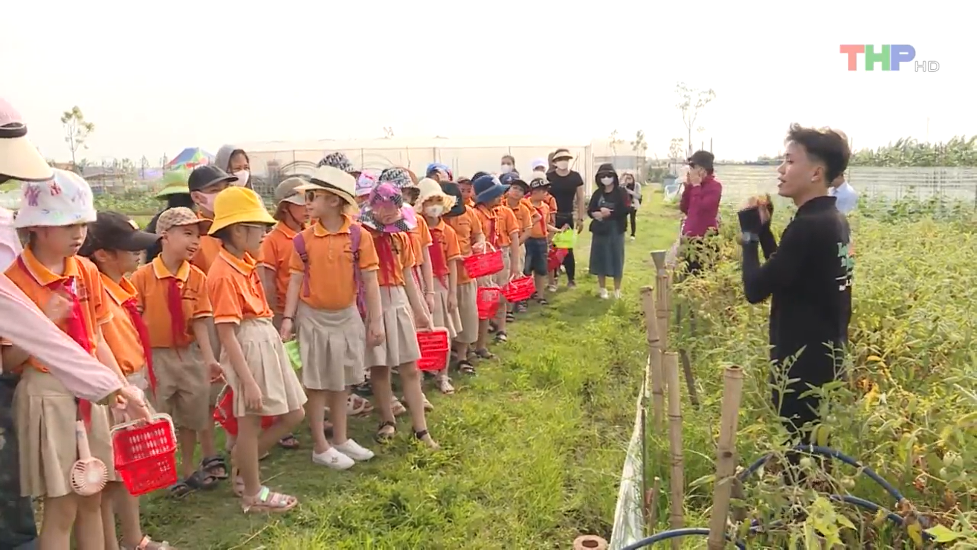 Các em học sinh lớp 3A3 TH Nguyễn Huệ tham gia trải nghiệm nông trại vui vẻ