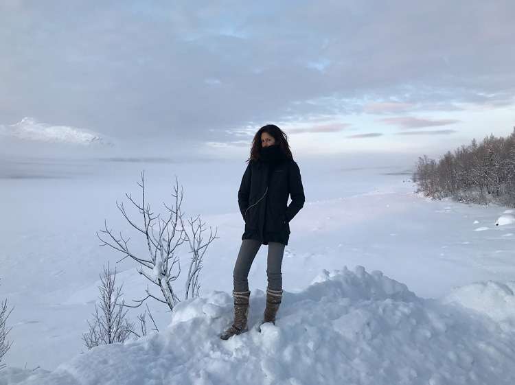 Шведская Лапландия (Dorotea & Borgafjäll) без авто, Рождество 2019
