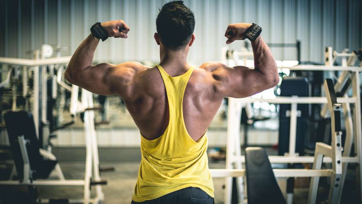 Do Triceps Respond Better To High Reps
