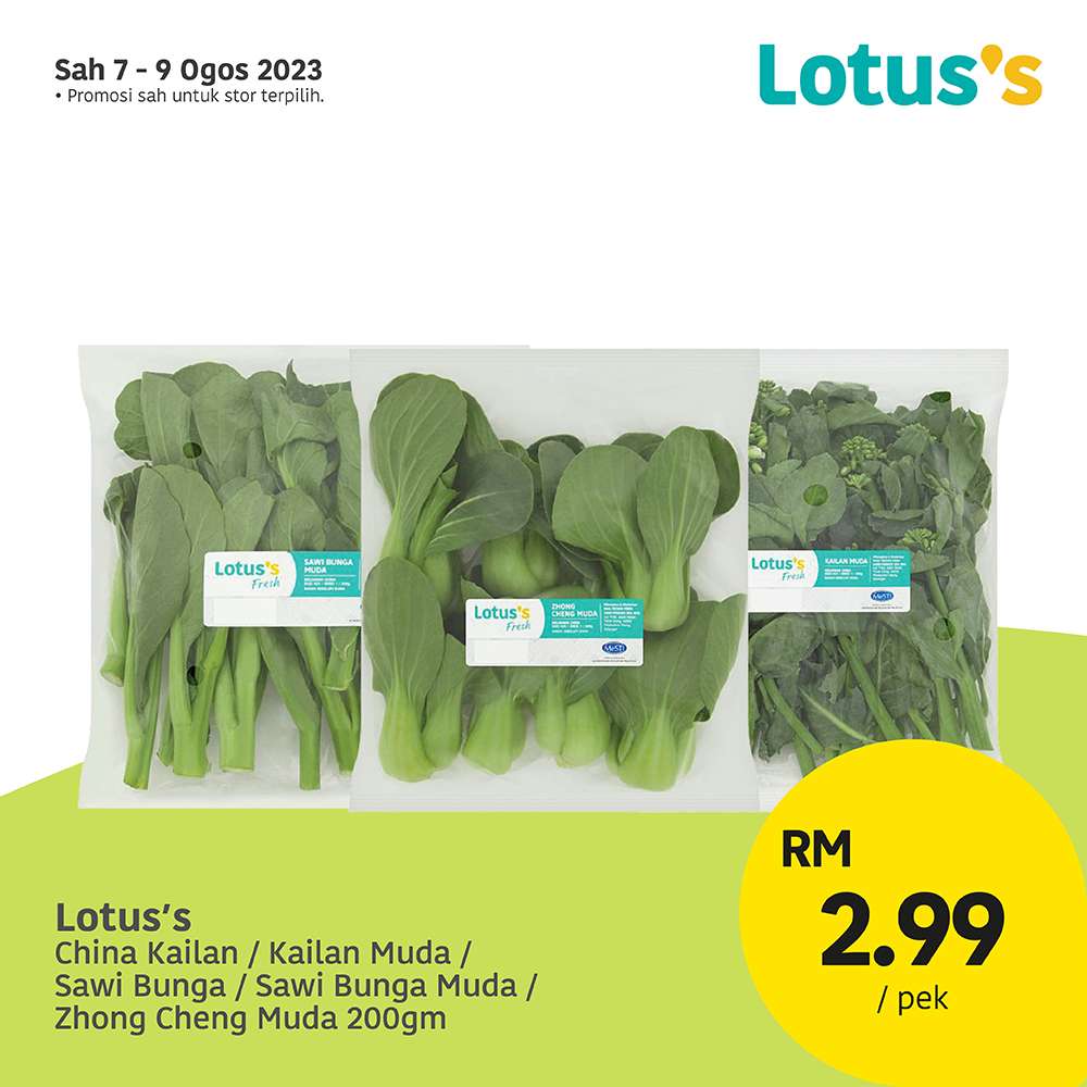 Lotus/Tesco Catalogue(7 August 2023)