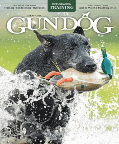 Gun Dog