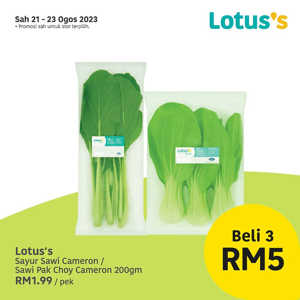 Lotus/Tesco Catalogue(21 August 2023)