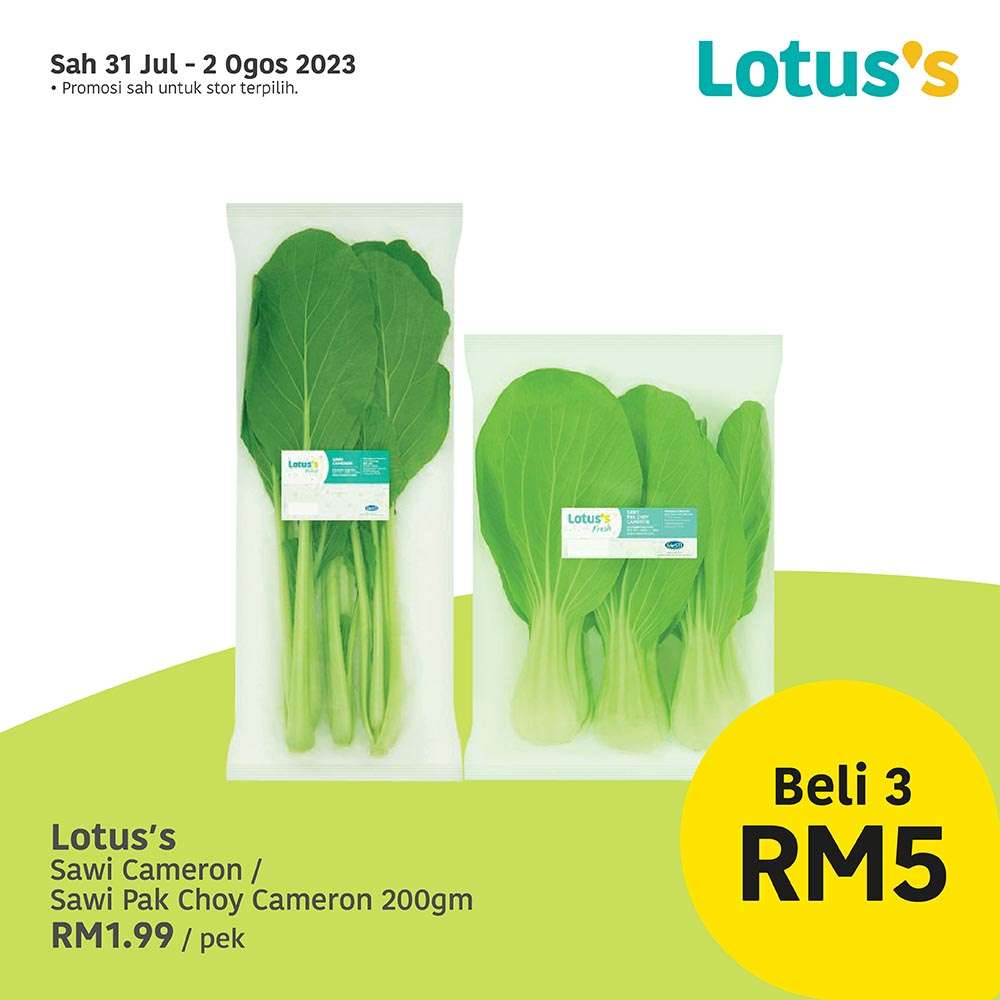 Lotus/Tesco Catalogue(31 July 2023)