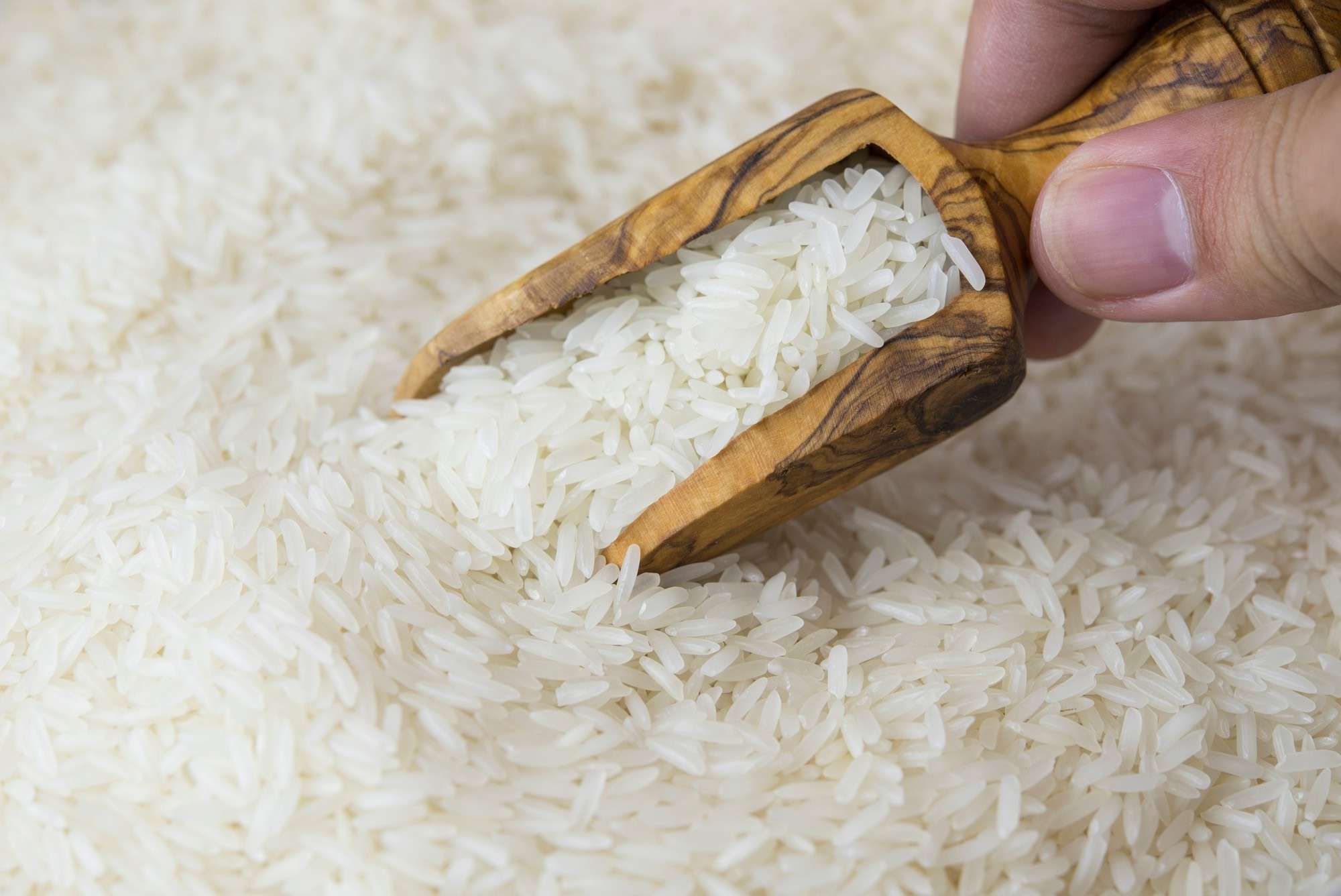 تجار يتوقعون انفراجة في الأرز بعد إلغاء قرار التسعير بـ18 جنيهاً وتوقعات بزيادة المعروض بالسوق المصري