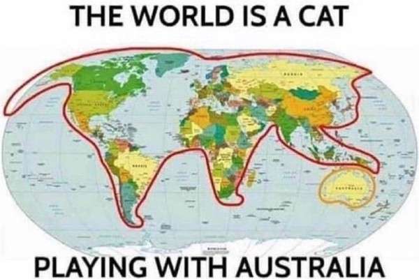 전 세계는 거대한 고양이와 같다