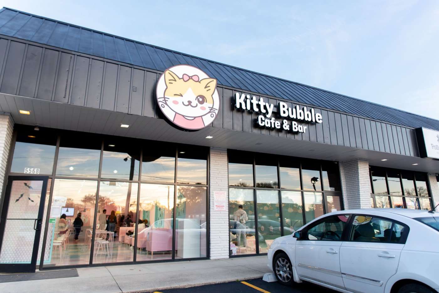 Kitty Bubble Cafe And Bar Photos
