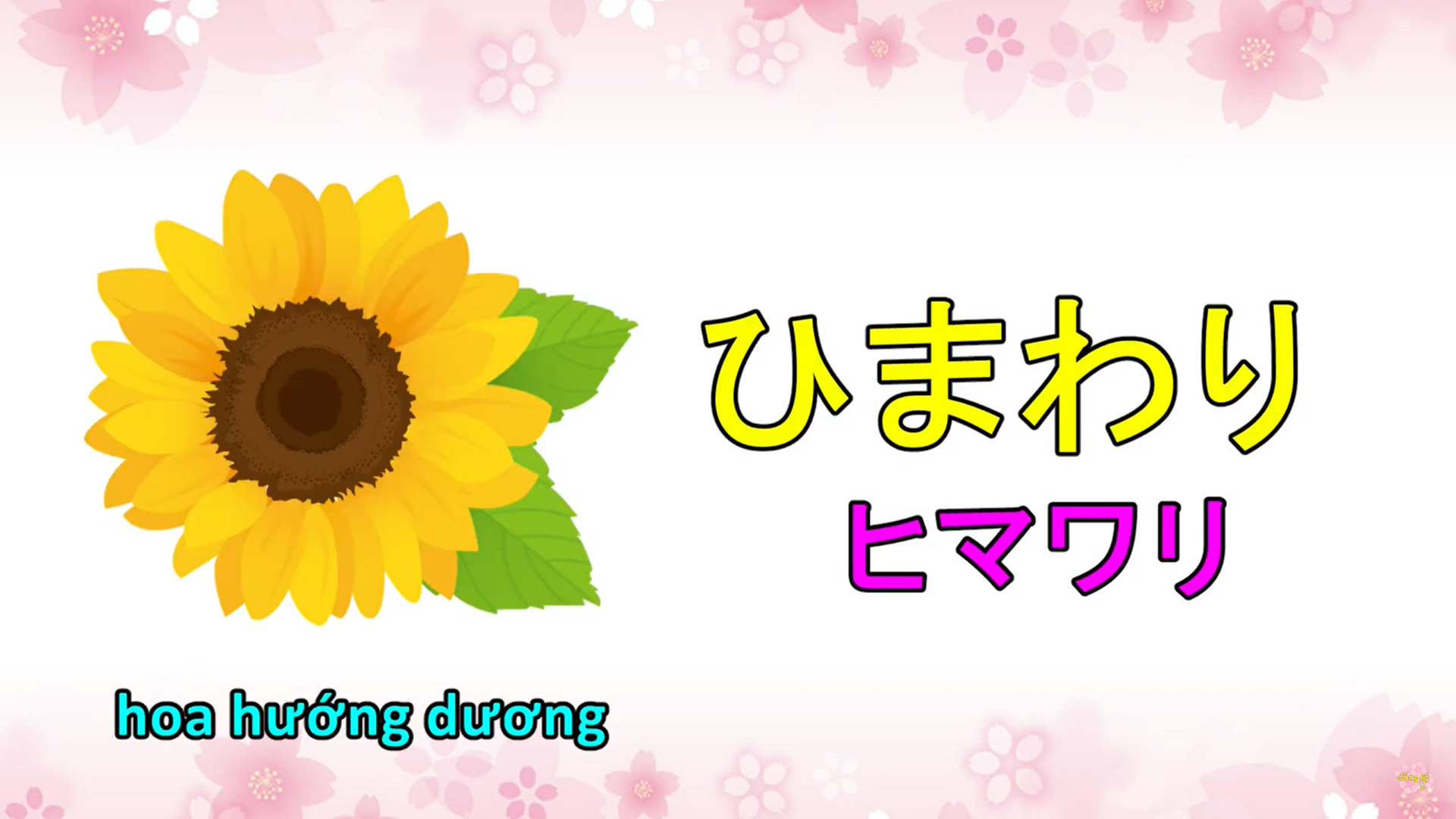 Từ vựng tiếng Nhật về hoa