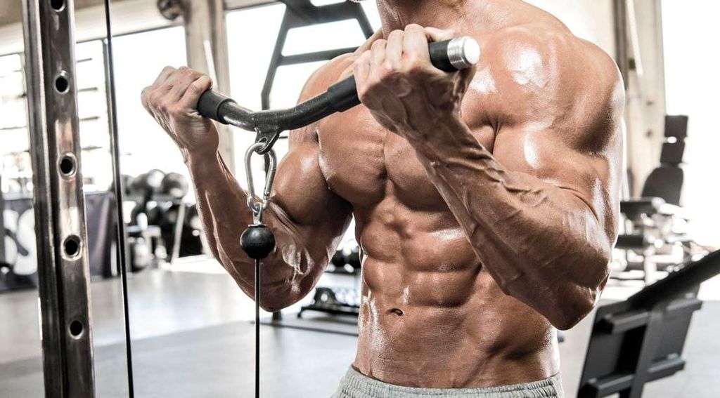 How To Do Triceps Curls
