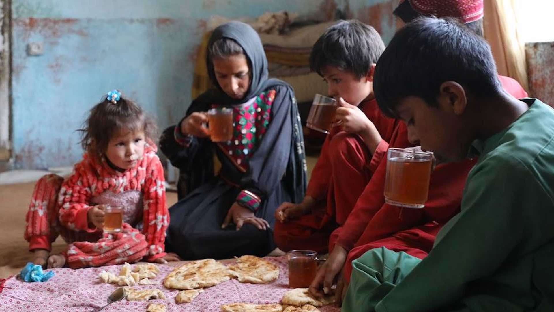 Funding drought compels UN food agency to cut rations in Afghanistan