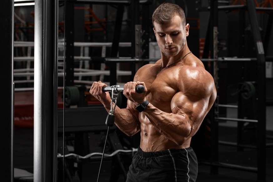 What Calisthenics Work Biceps