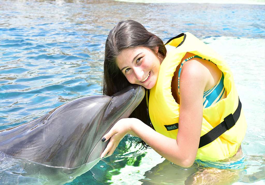 Dolphins' Friendliness