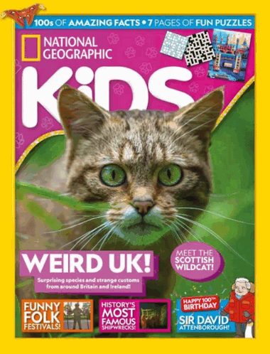 Kids UK
