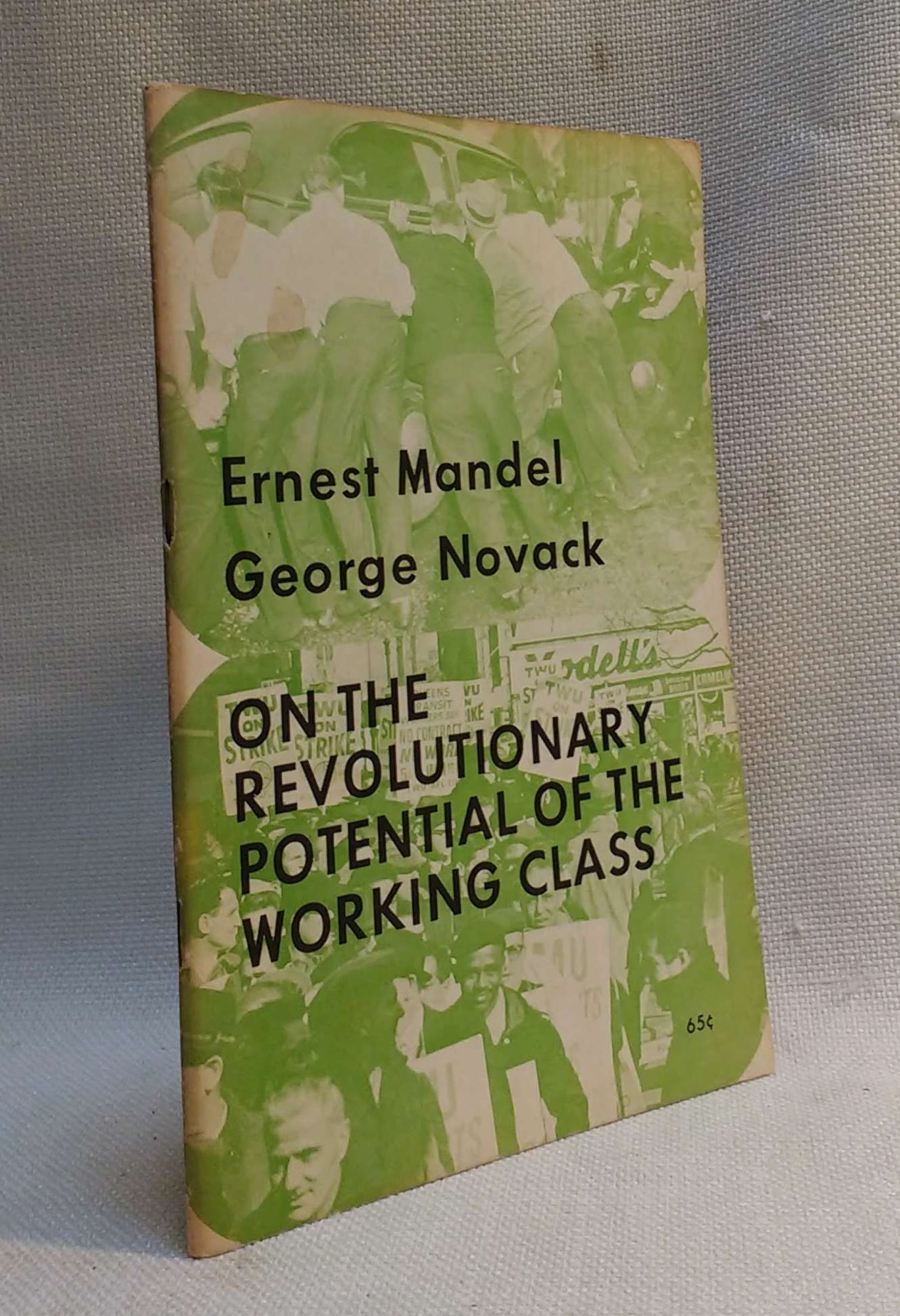 On the Revolutionary Potential of the Working Class