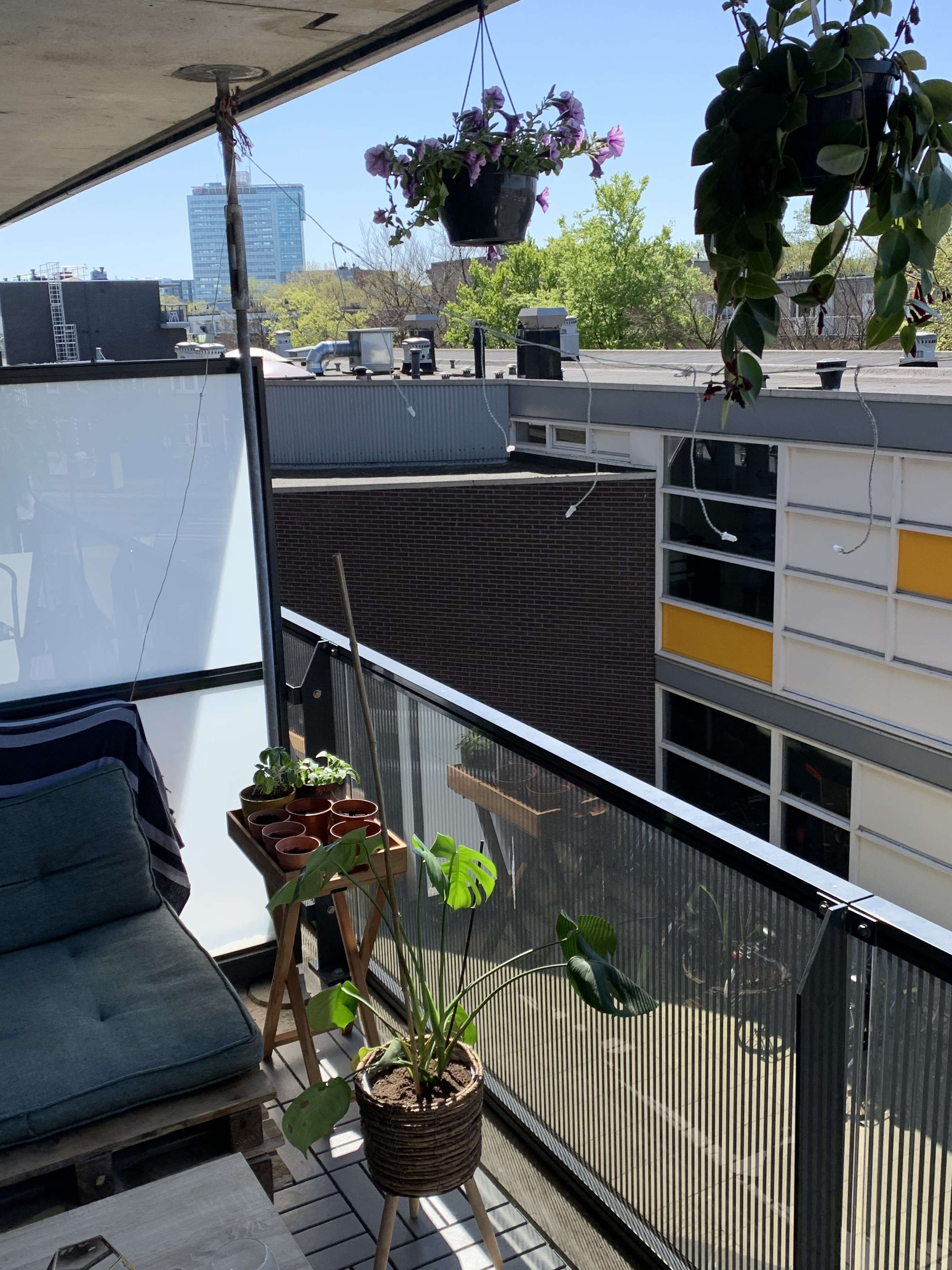 Balcony with plants