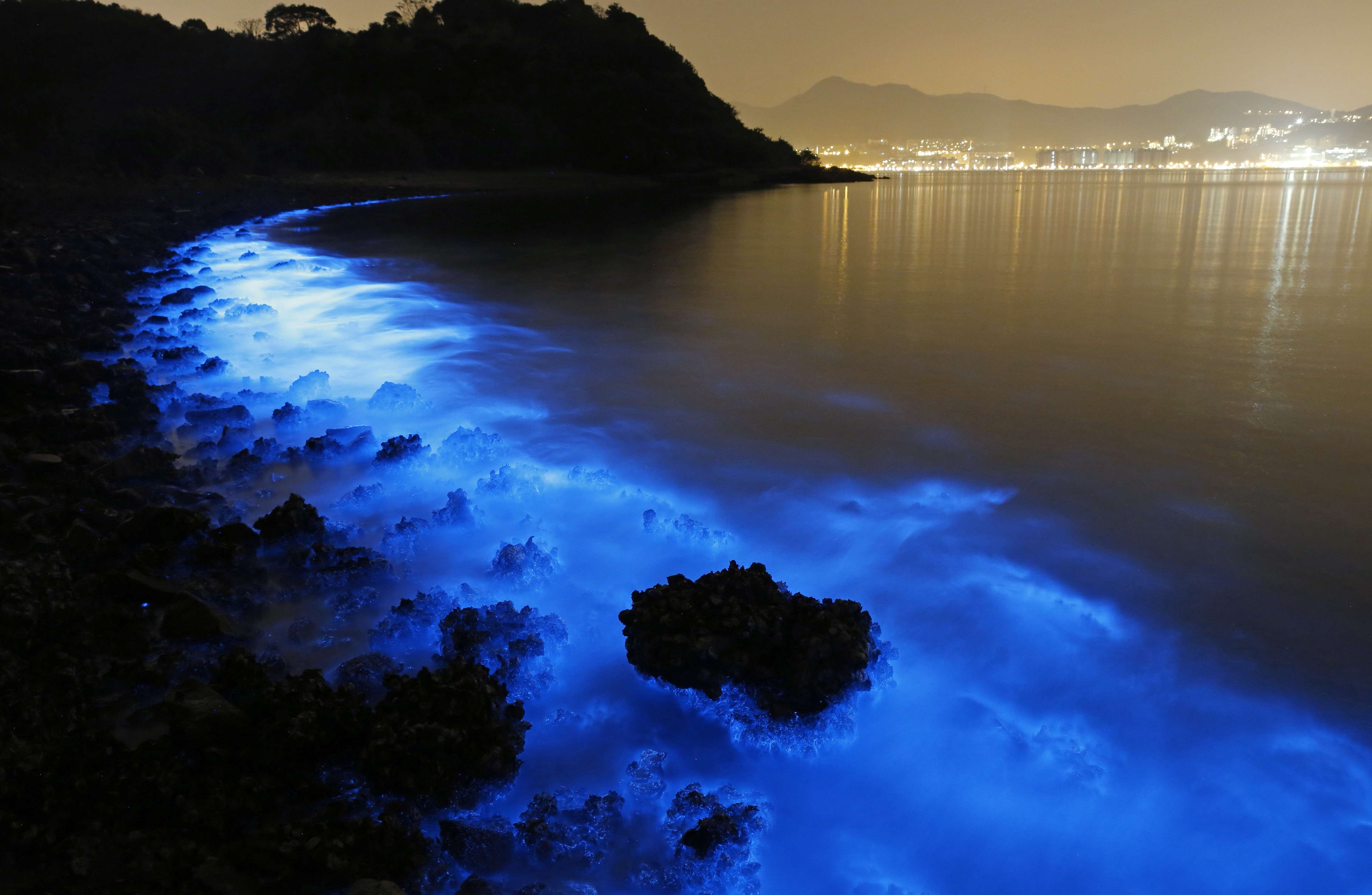 What Causes Bioluminescent Water 