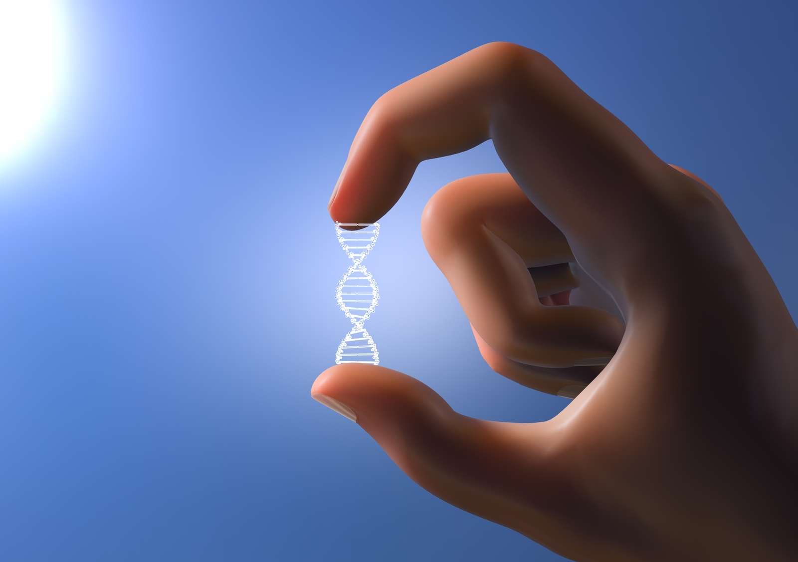 What Is The Role Of Genetics In Determining Life Span