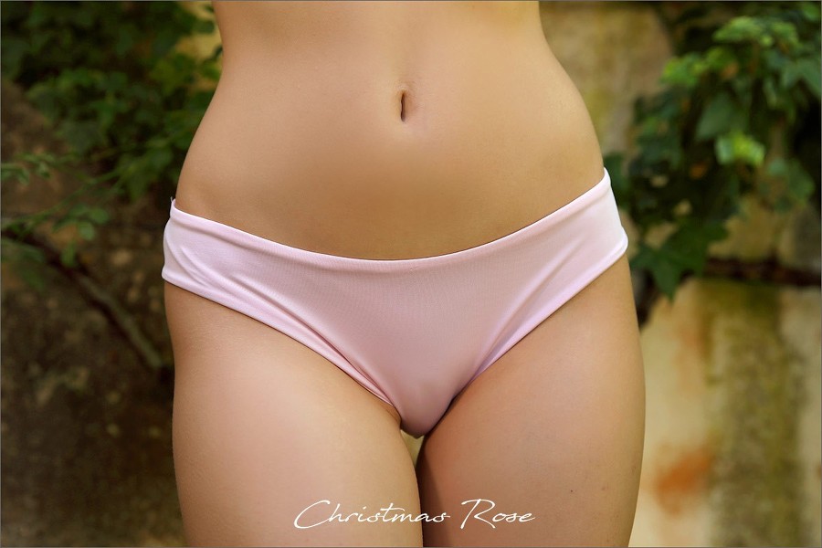 Stefani - Christmas Rose 4