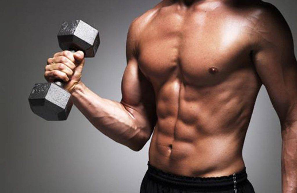 How To Gain 20 Pounds Of Muscle